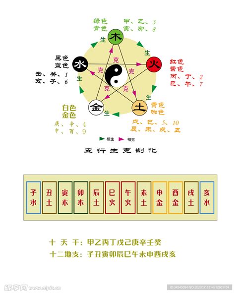 地支五行|天干地支五行对照表 十二地支五行口诀表